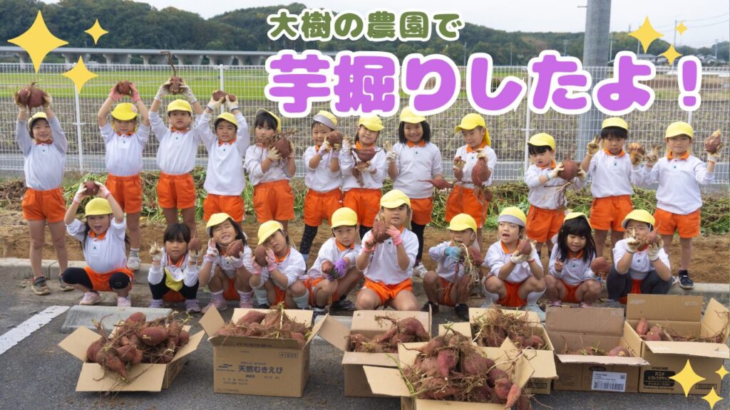 太陽保育園の園児がさつまいも掘りに来てくれました🍠