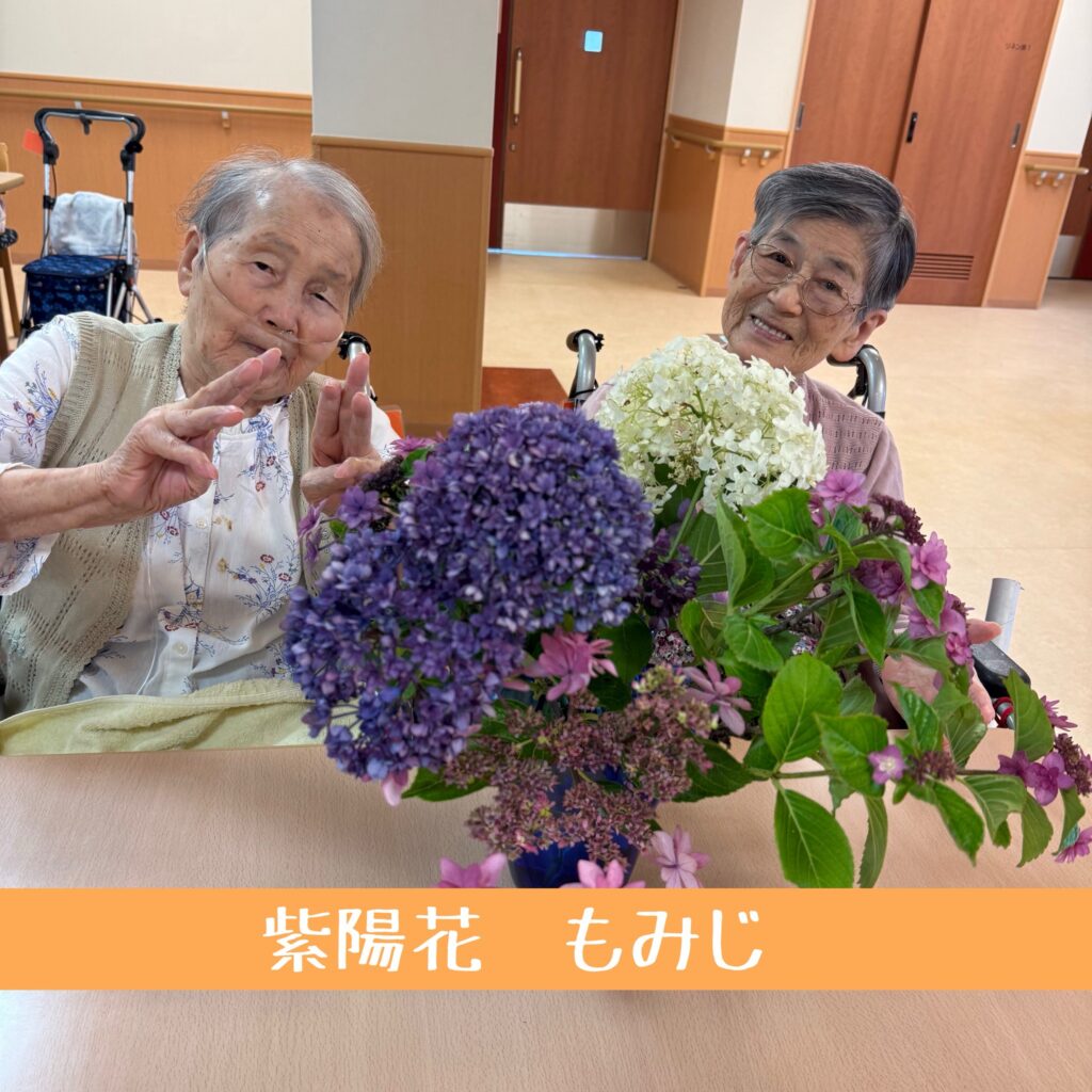 紫陽花🌸